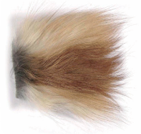 RENARD ARGENTE, ROUX, CHINCHILLA - Pêcheur Maroc