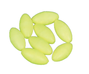 PERLES FLOTTANTES OVALES TAILLE 5*10, 7*15 COLORIS BLANC, FLUO JAUNE, FLUO ROSE,FLUO ROUGE, PHOSPHO VERT, PHOSPHO ROSE - Pêcheur Maroc