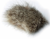 OPPOSSUM D'AUSTRALIE - Pêcheur Maroc