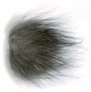 RENARD ARGENTE, ROUX, CHINCHILLA - Pêcheur Maroc