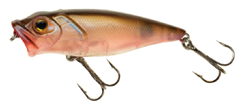 LEURRE SWIMY POPPER SPINNING 65mm COLORIS C20/ M45/ S43, Swimy, Pêcheur Maroc