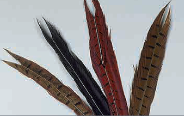 JMC QUEUE DE FAISAN NATUREL/ OLIVE/ GRIS HERON, Mouches De Charette, Pêcheur Maroc