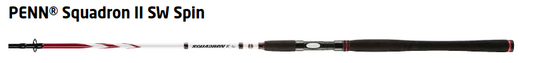 CANNE PENN SQUADRON 305 Spinning 20/60gr, 5 BRINS, PENN, Pêcheur Maroc