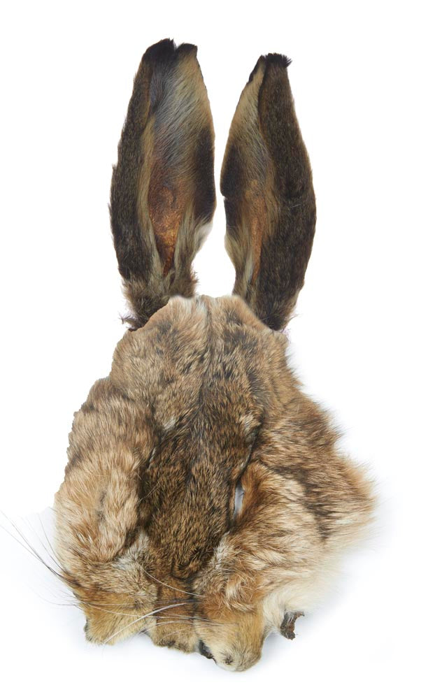 JMC MASQUE DE LIEVRE NATUREL COMPLET, Mouches De Charette, Pêcheur Maroc