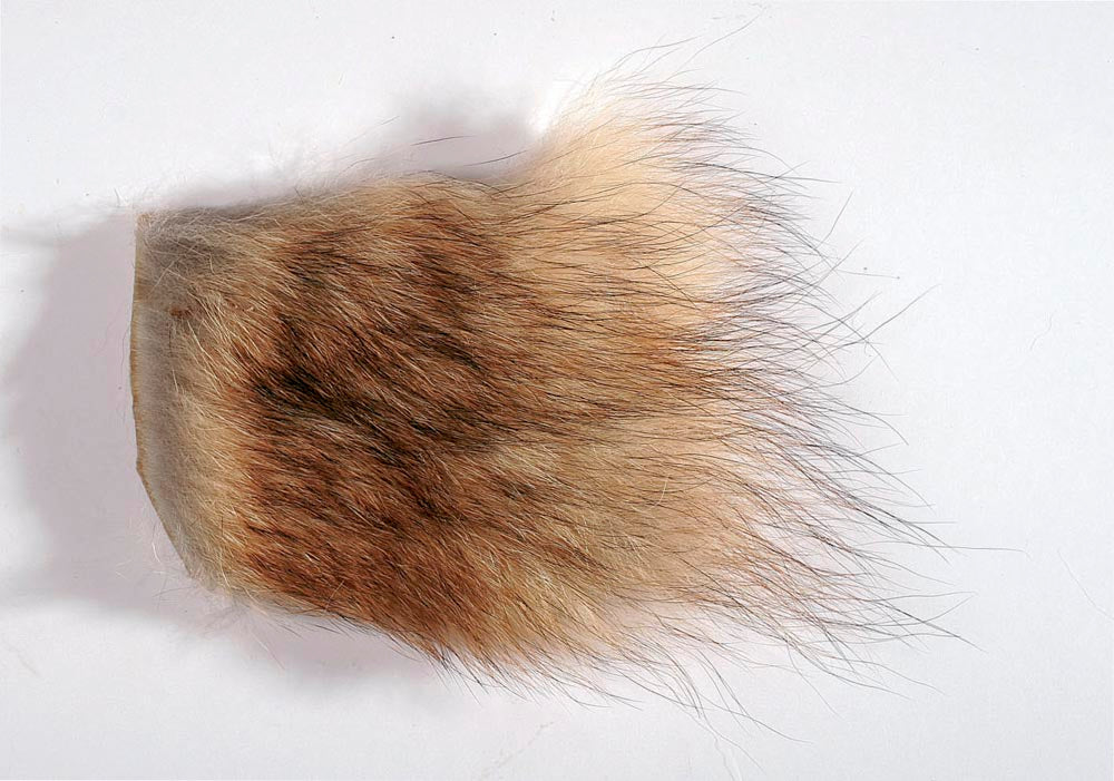 JMC COYOTE, Mouches De Charette, Pêcheur Maroc