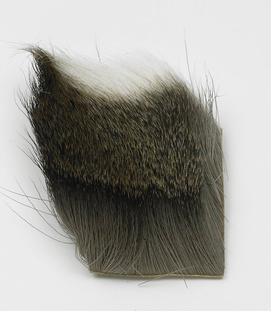 JMC CHEVREUIL, Mouches De Charette, Pêcheur Maroc