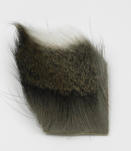 JMC CHEVREUIL, Mouches De Charette, Pêcheur Maroc