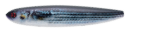 LEURRE SAKURA NAJA SPINNING 45F-45mm-3.2G / 105F-105mm-16.3G / 125 F - 125MM - 26.5G, Sakura, Pêcheur Maroc