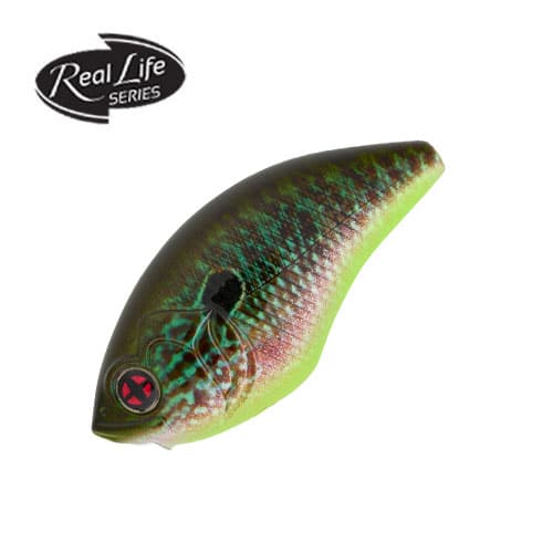 LEURRE SAKURA SCB Crank 400F, Sakura, Pêcheur Maroc