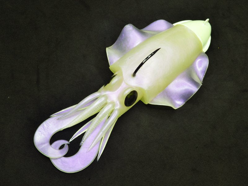 SEPIA JLC 250gr COLORIS NA, DR - Pêcheur Maroc