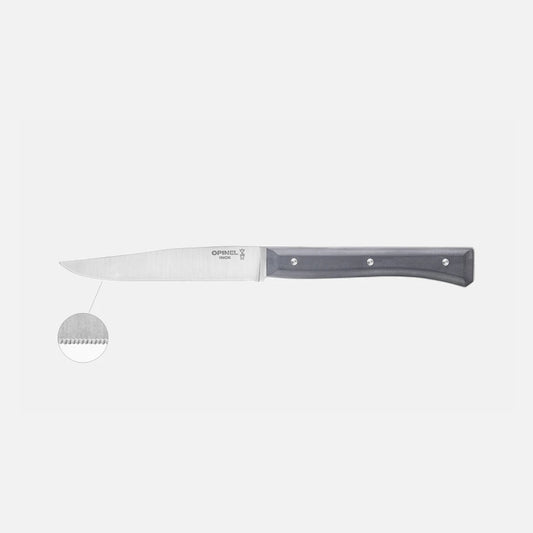 COFFRET DE 4 COUTEAUX DE TABLE FACETTE ARDOISE OPINEL MICRODENTES