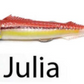 REAL FISH JLC 200gr COMBO + 1 BODY CABALA SARDINA, DONCELLA, JULIA - Pêcheur Maroc