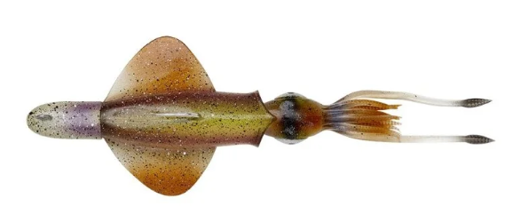 LEURRE SAVAGE SWIM SQUID RTF 25cm 160, ou 200g