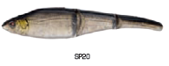 LEURRE SEBILE MAGIC SWIMMER SPINNING 105mm 4 COLORIS, Sebile, Pêcheur Maroc