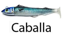 REAL FISH JLC 200gr COMBO + 1 BODY CABALA SARDINA, DONCELLA, JULIA - Pêcheur Maroc